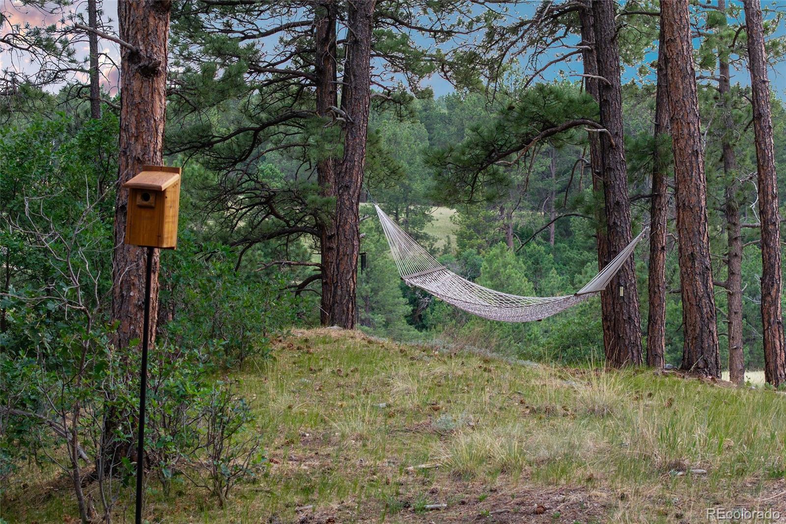 MLS Image #42 for 10909  wild fox point,franktown, Colorado