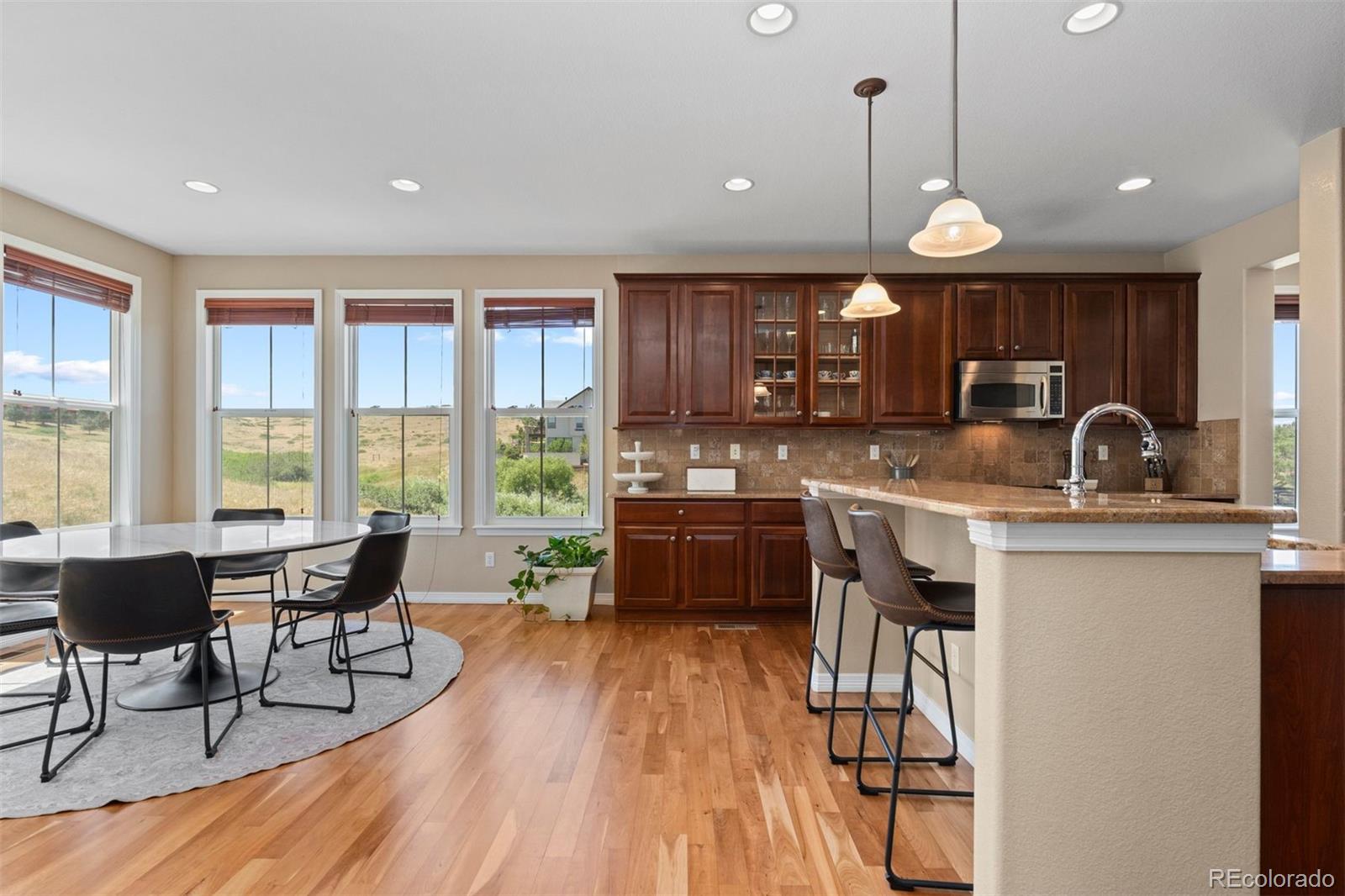 MLS Image #11 for 3860  fairbrook point,highlands ranch, Colorado