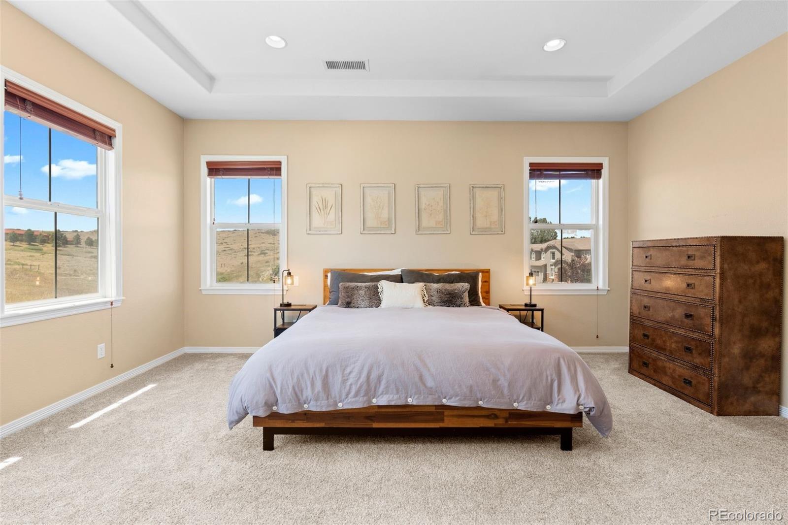 MLS Image #20 for 3860  fairbrook point,highlands ranch, Colorado