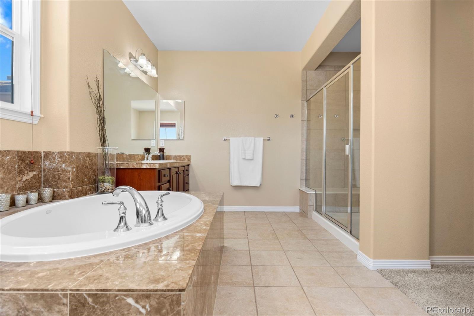 MLS Image #22 for 3860  fairbrook point,highlands ranch, Colorado