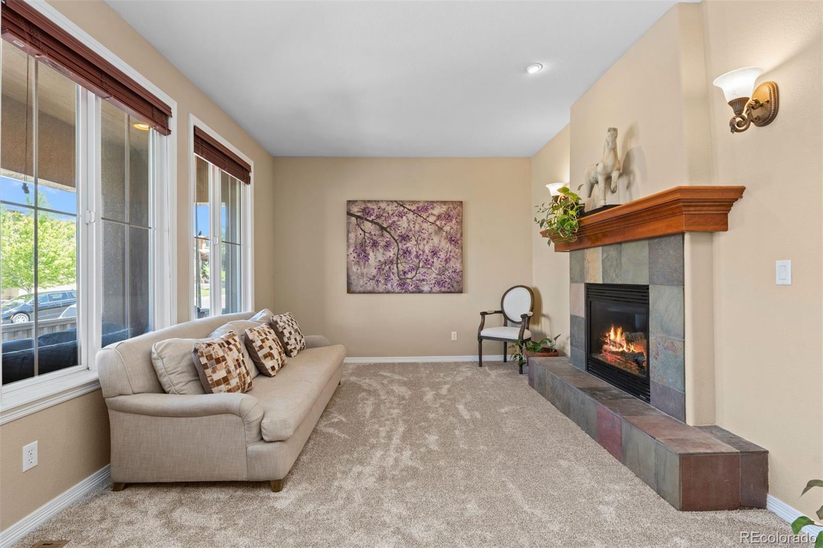 MLS Image #4 for 3860  fairbrook point,highlands ranch, Colorado