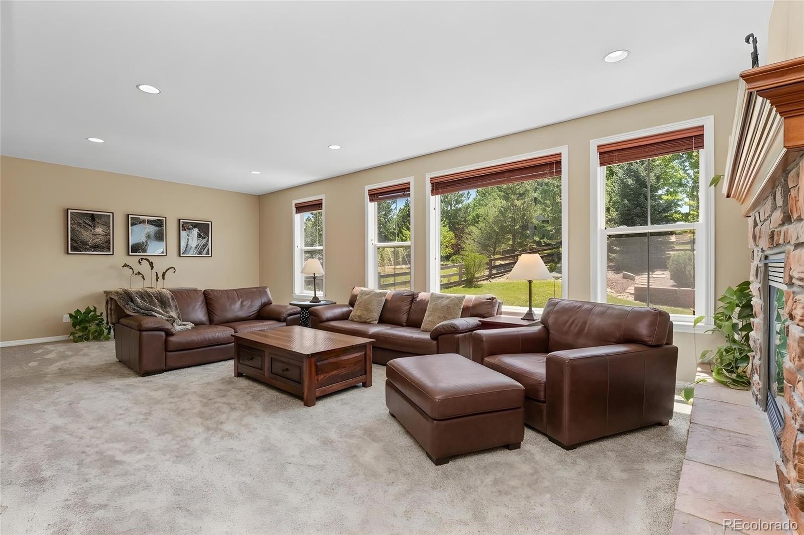MLS Image #8 for 3860  fairbrook point,highlands ranch, Colorado