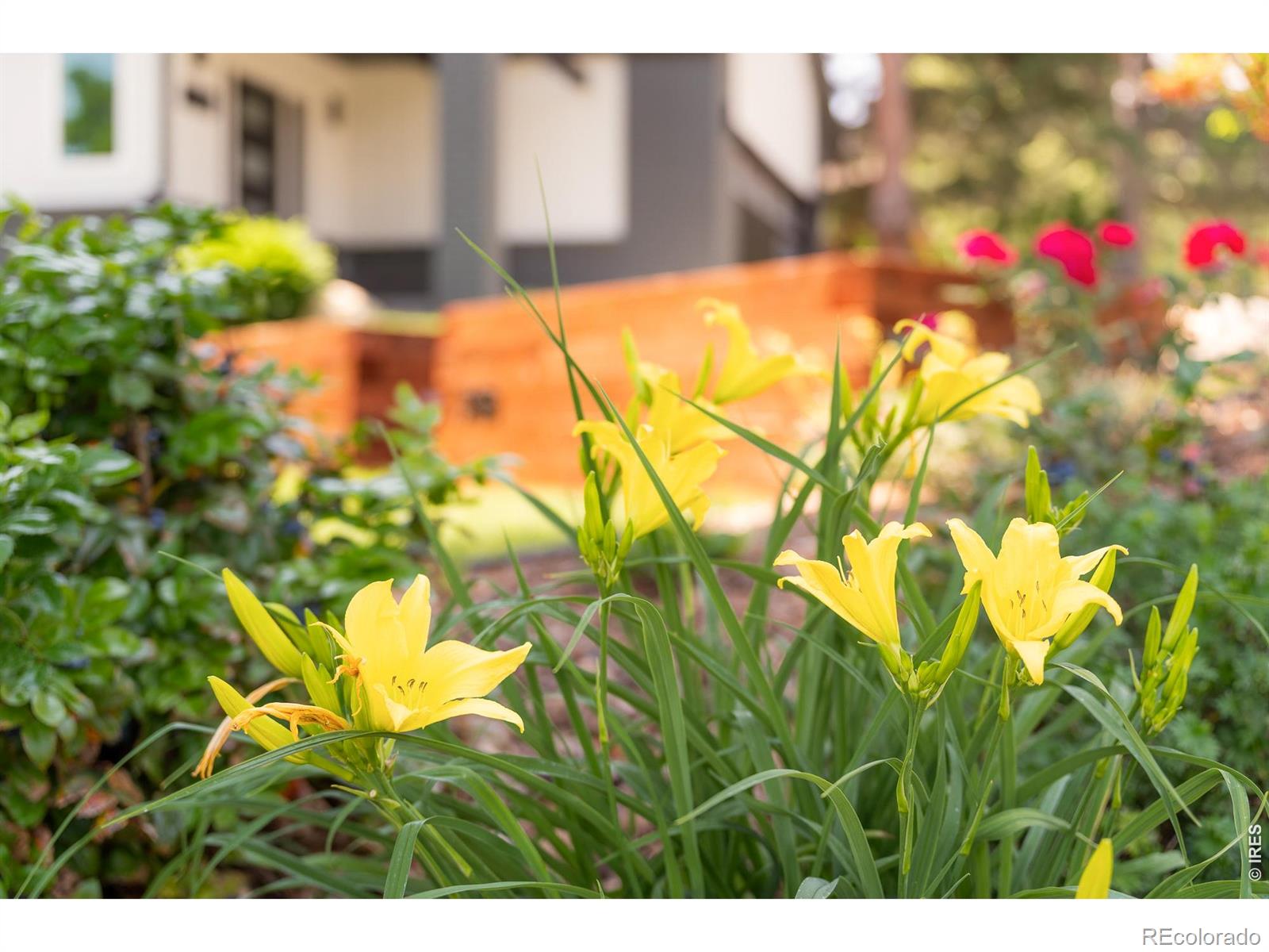 MLS Image #34 for 3958  promontory court,boulder, Colorado