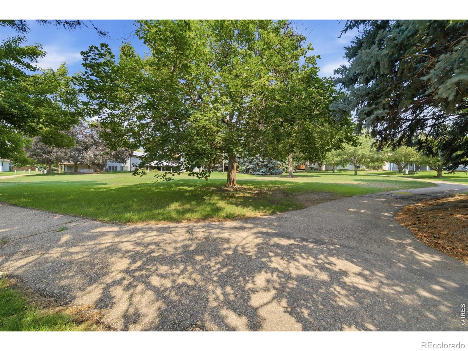 MLS Image #31 for 4261 w 15th st ln,greeley, Colorado