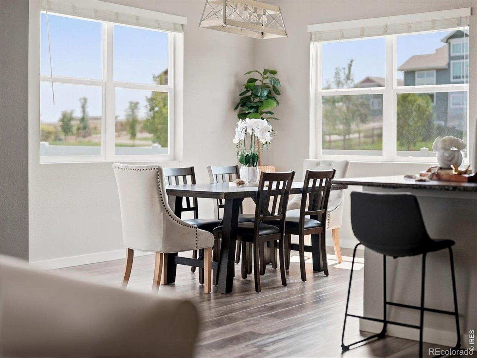 MLS Image #10 for 1229  argali drive,severance, Colorado