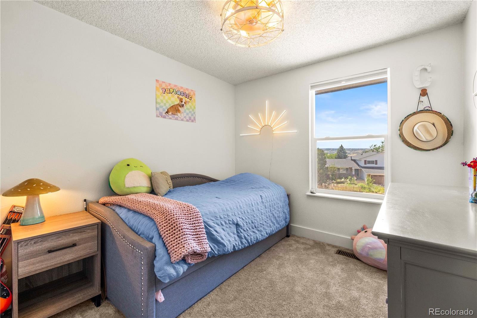 MLS Image #19 for 224  hill court,castle rock, Colorado