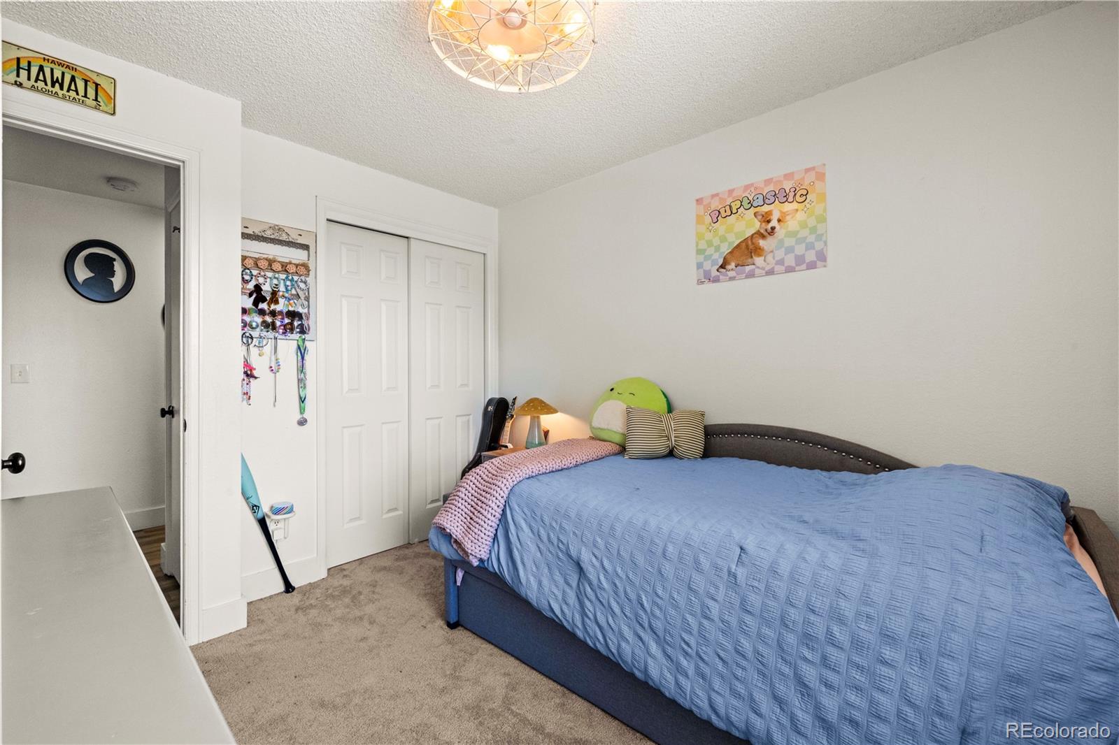 MLS Image #20 for 224  hill court,castle rock, Colorado