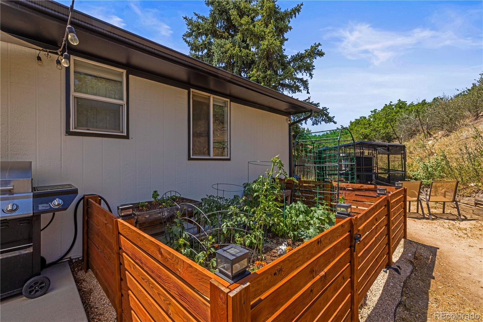 MLS Image #36 for 224  hill court,castle rock, Colorado