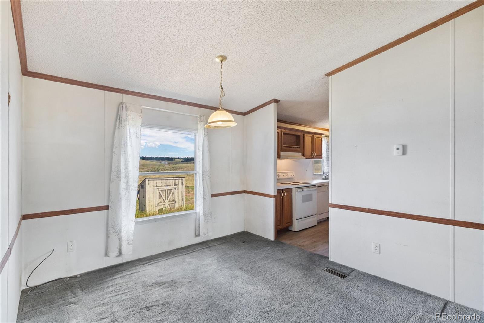 MLS Image #13 for 85  aspen drive,divide, Colorado