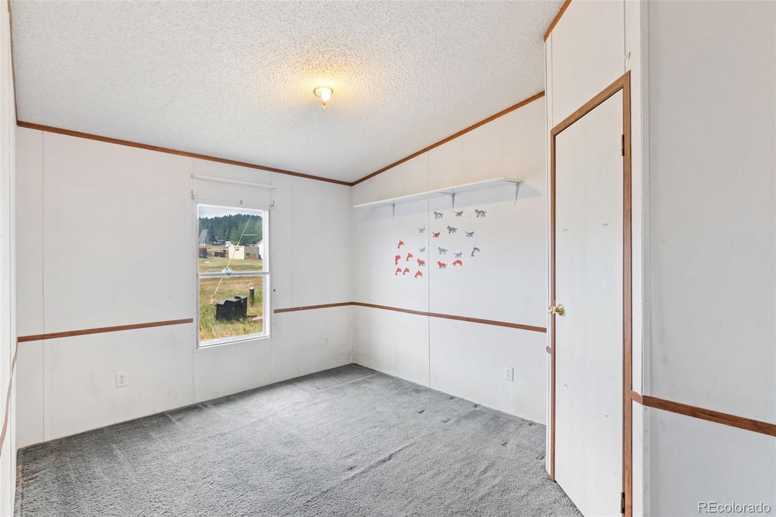 MLS Image #17 for 85  aspen drive,divide, Colorado