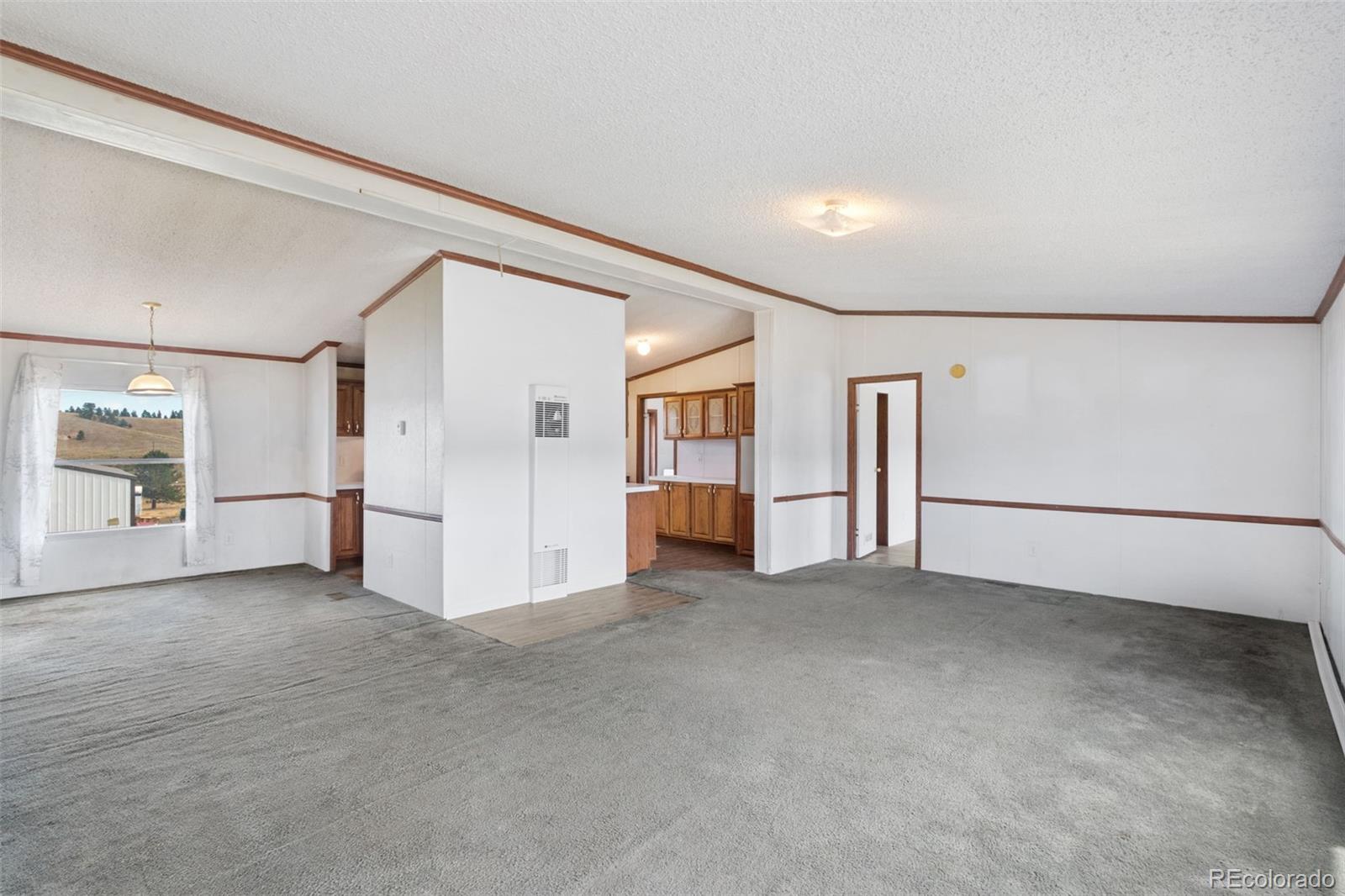 MLS Image #5 for 85  aspen drive,divide, Colorado