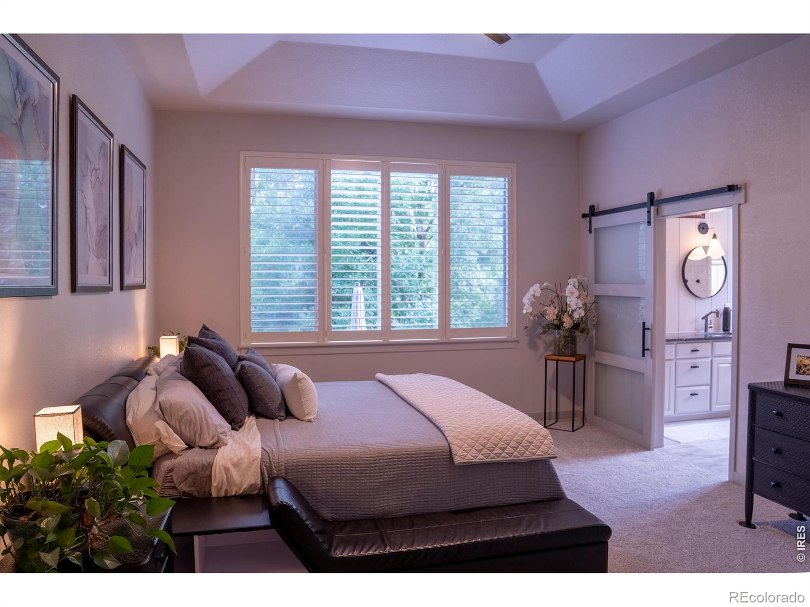 MLS Image #11 for 4624  tarragon drive,johnstown, Colorado