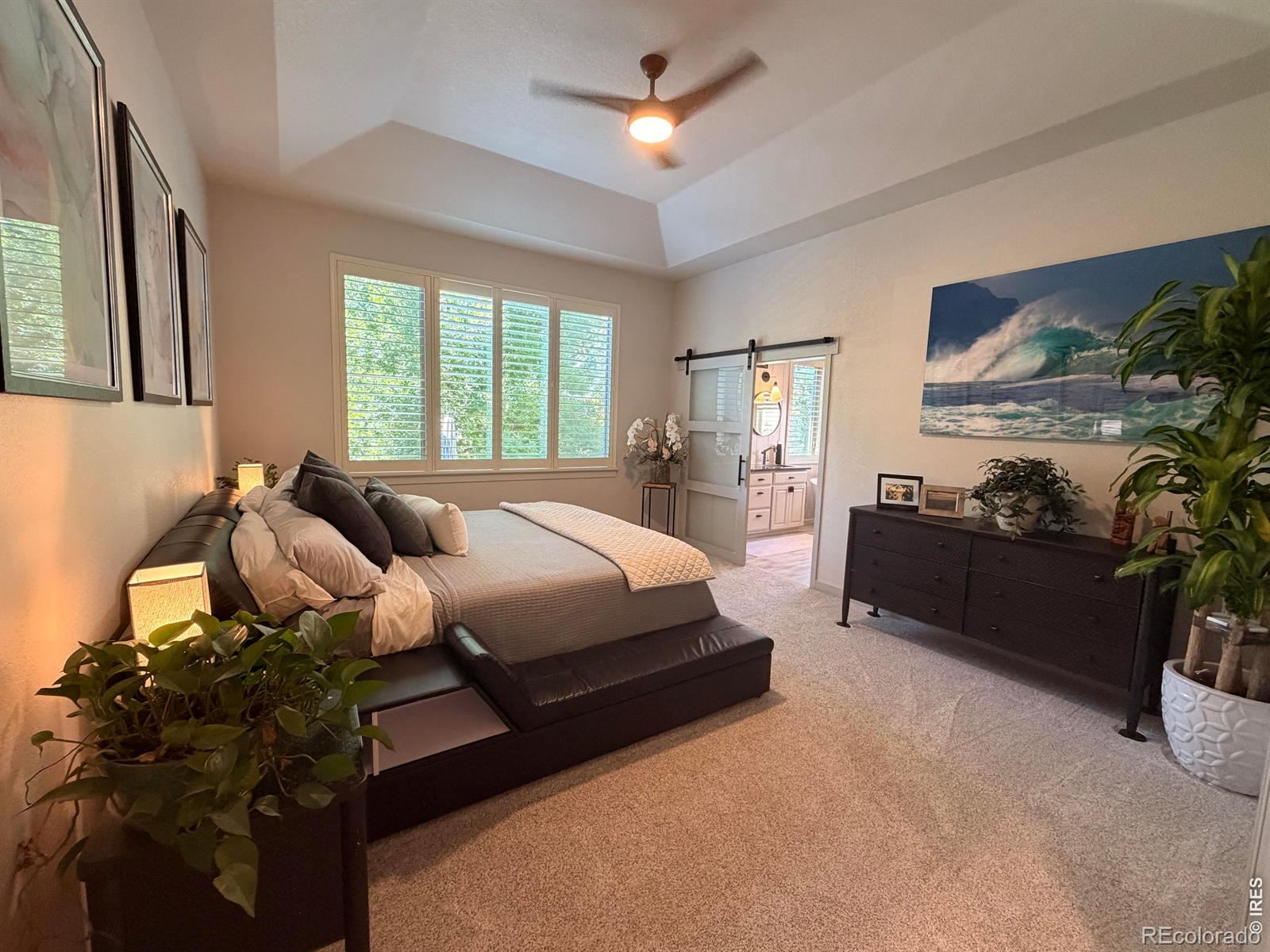 MLS Image #12 for 4624  tarragon drive,johnstown, Colorado