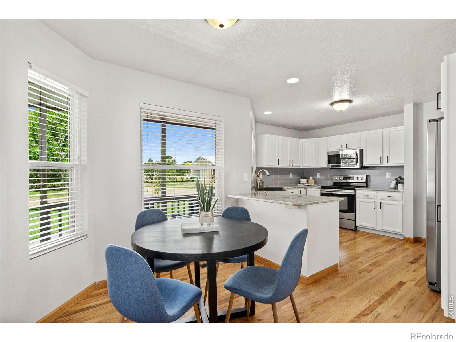 MLS Image #8 for 302  immigrant trail,severance, Colorado