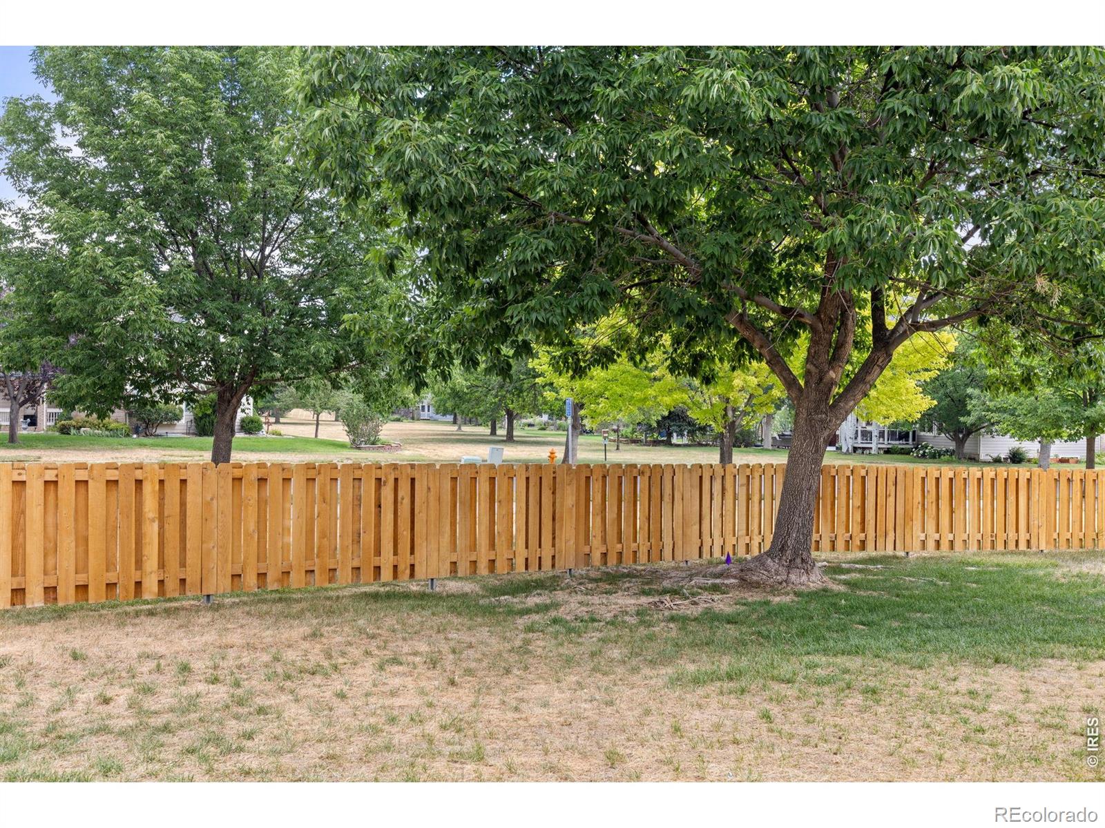 MLS Image #28 for 2407  waverly drive,loveland, Colorado