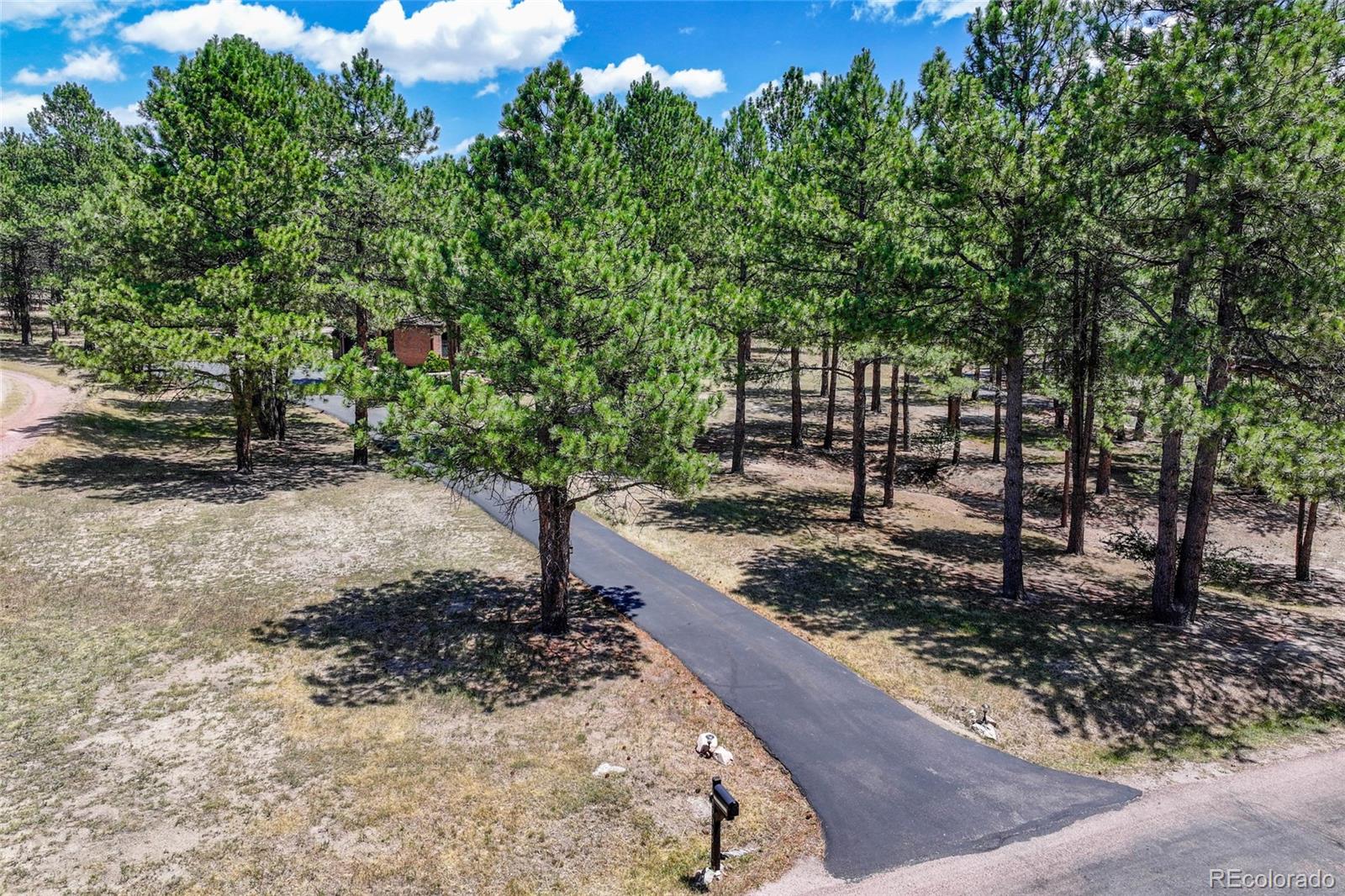 MLS Image #42 for 19095  white fawn drive,monument, Colorado