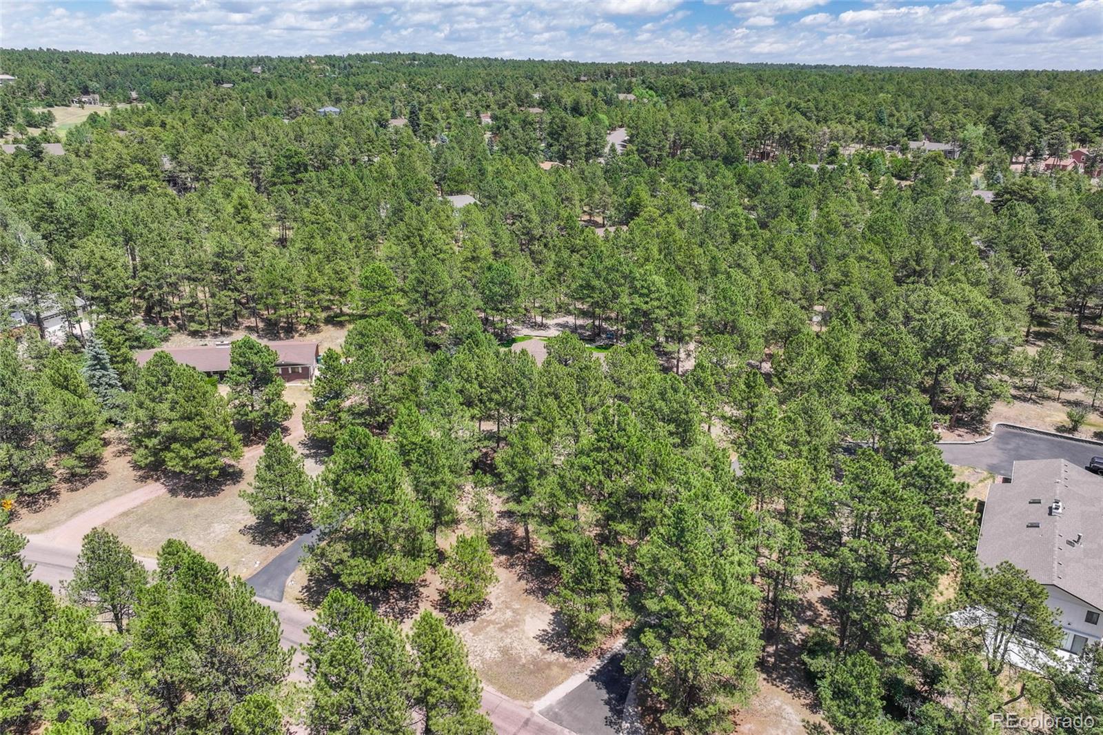 MLS Image #44 for 19095  white fawn drive,monument, Colorado