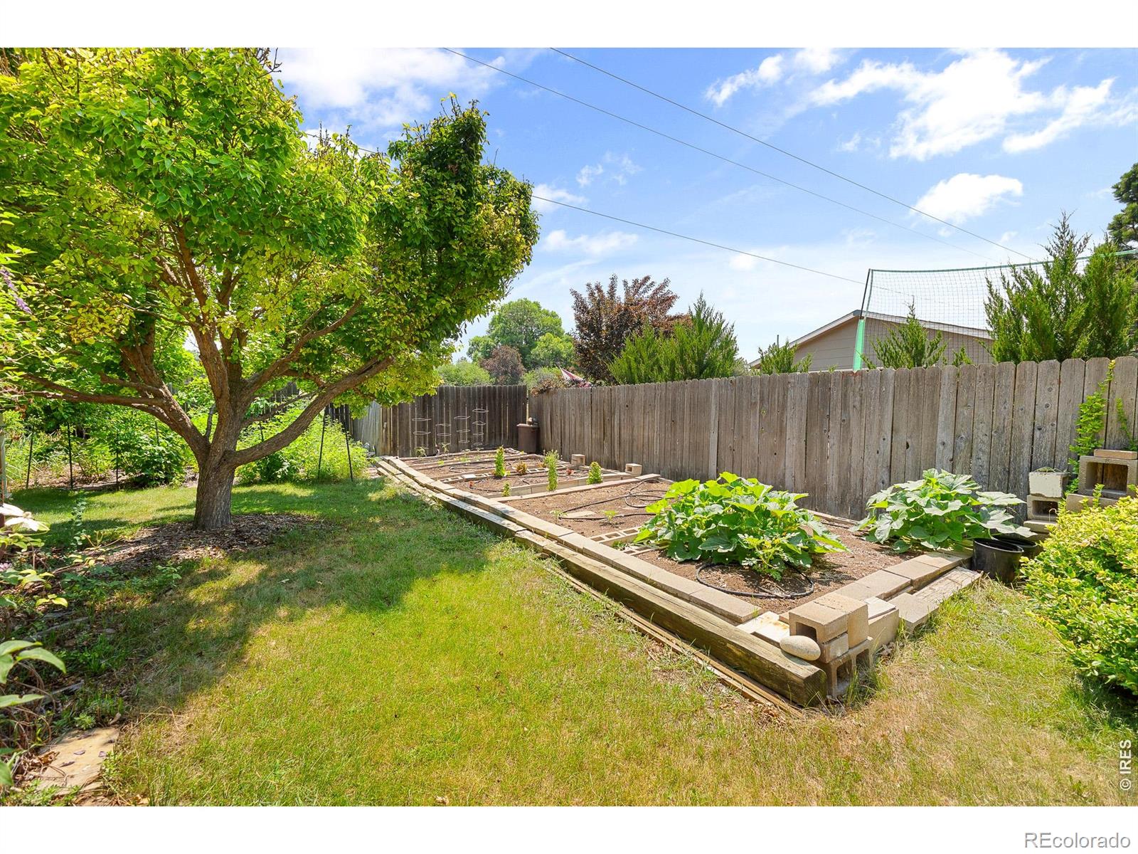 MLS Image #11 for 3300  carlton avenue,fort collins, Colorado