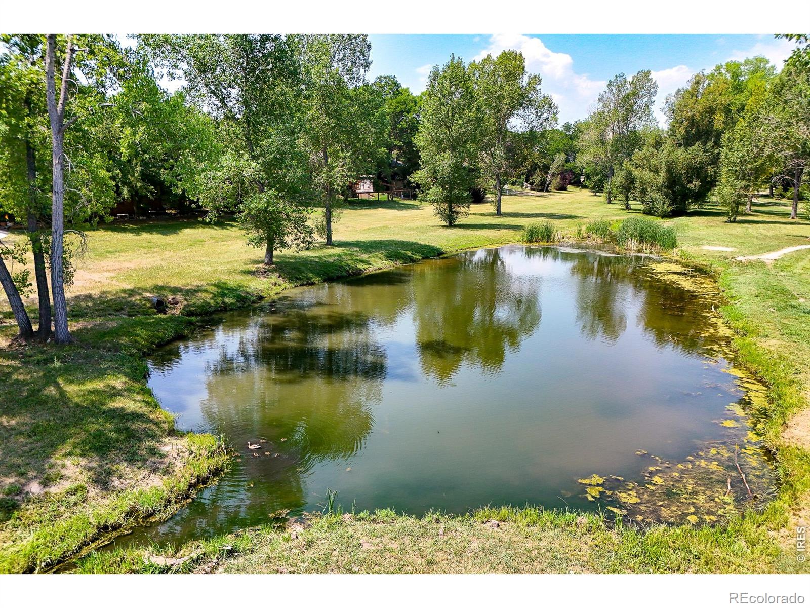 MLS Image #13 for 3300  carlton avenue,fort collins, Colorado