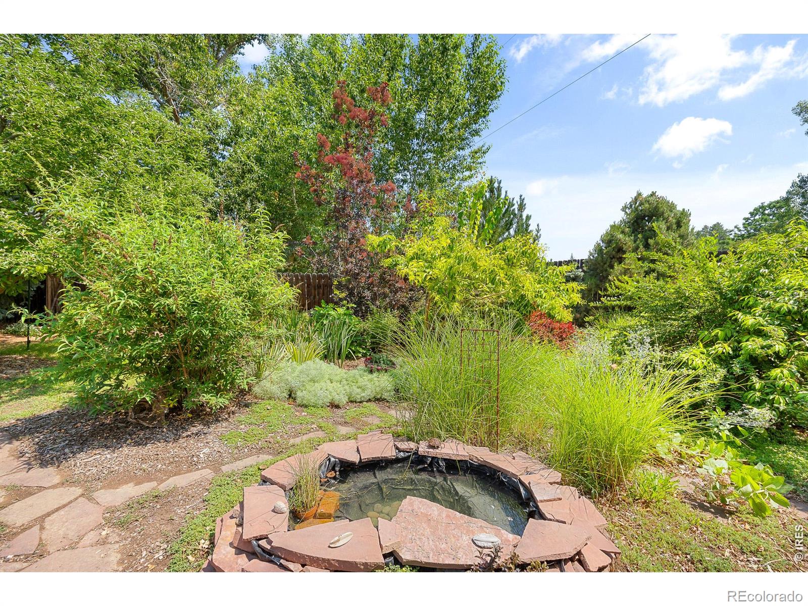 MLS Image #6 for 3300  carlton avenue,fort collins, Colorado