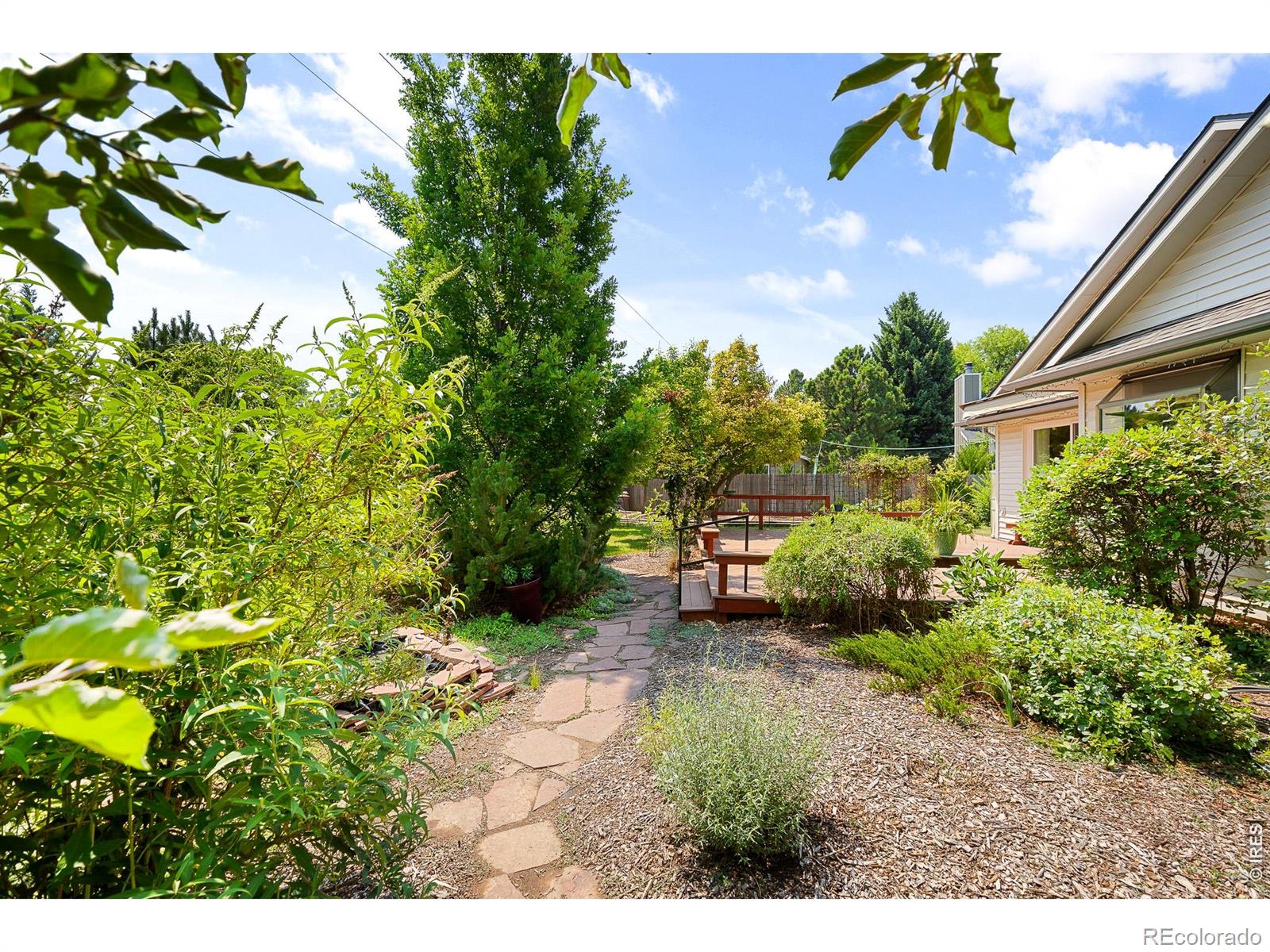MLS Image #7 for 3300  carlton avenue,fort collins, Colorado