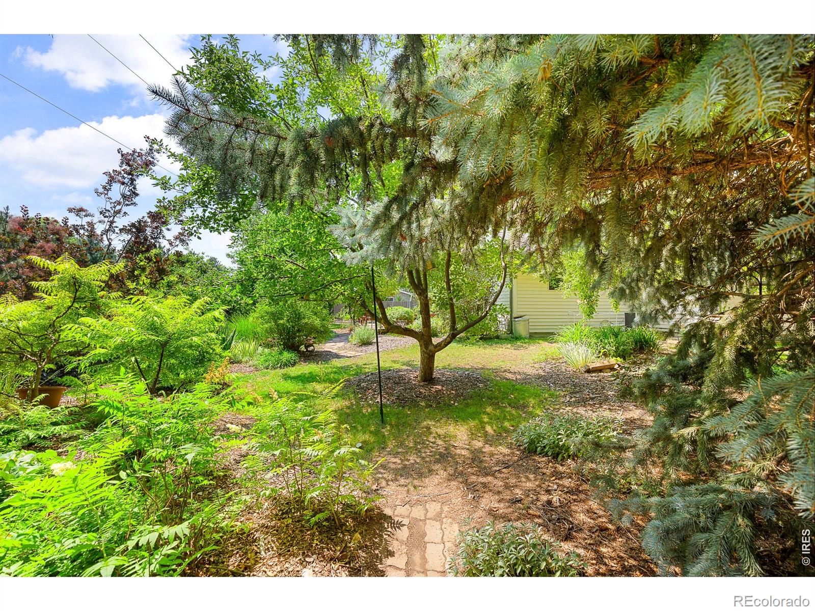 MLS Image #8 for 3300  carlton avenue,fort collins, Colorado