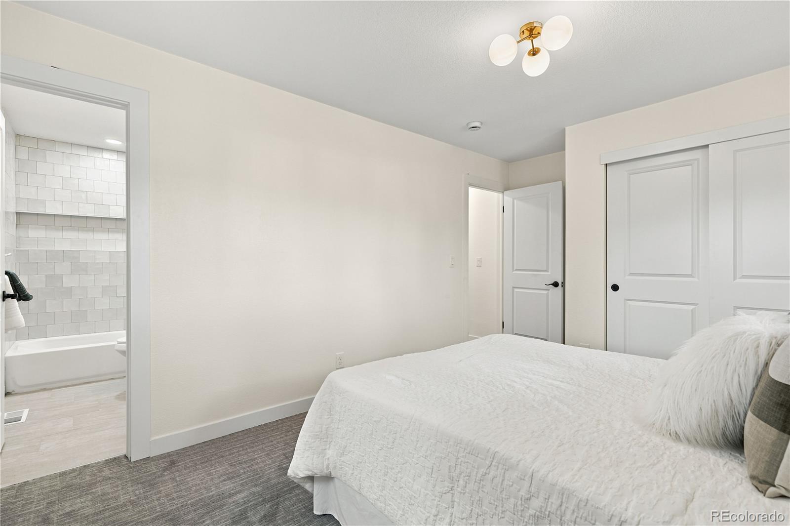 MLS Image #24 for 5860  wood sorrel drive ,littleton, Colorado