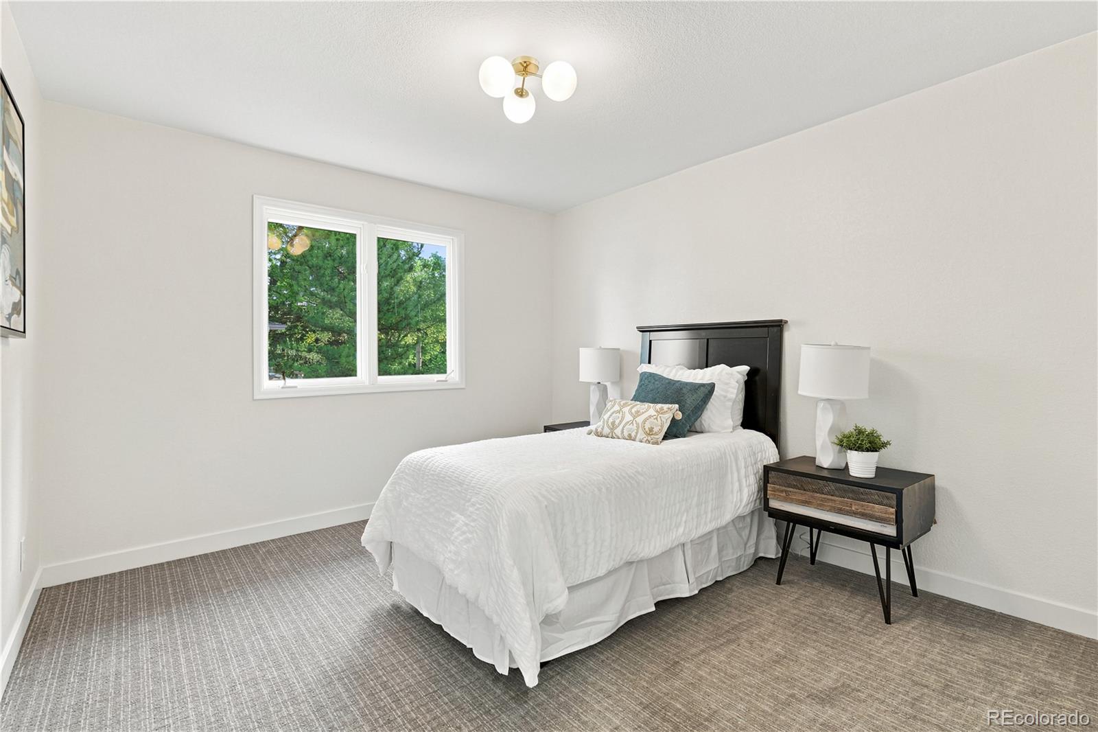 MLS Image #27 for 5860  wood sorrel drive ,littleton, Colorado