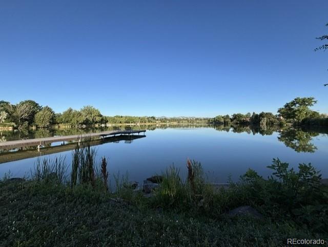 MLS Image #38 for 5860  wood sorrel drive ,littleton, Colorado