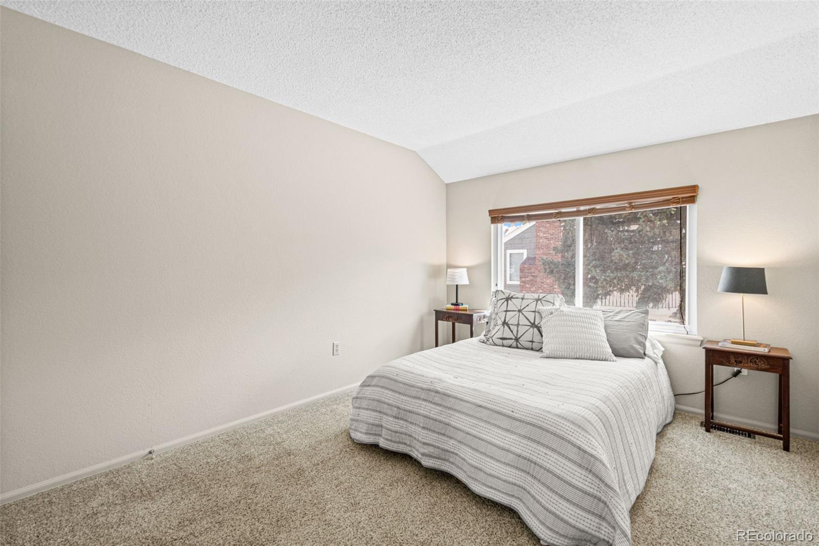 MLS Image #17 for 9031  bear mountain drive ,highlands ranch, Colorado