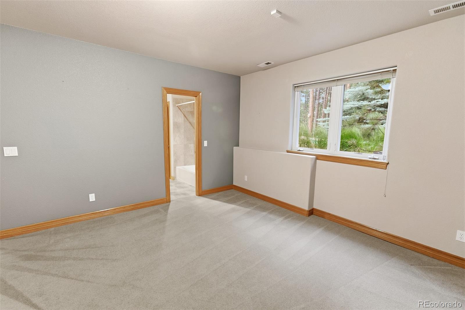 MLS Image #45 for 18015  bankhurst court,monument, Colorado