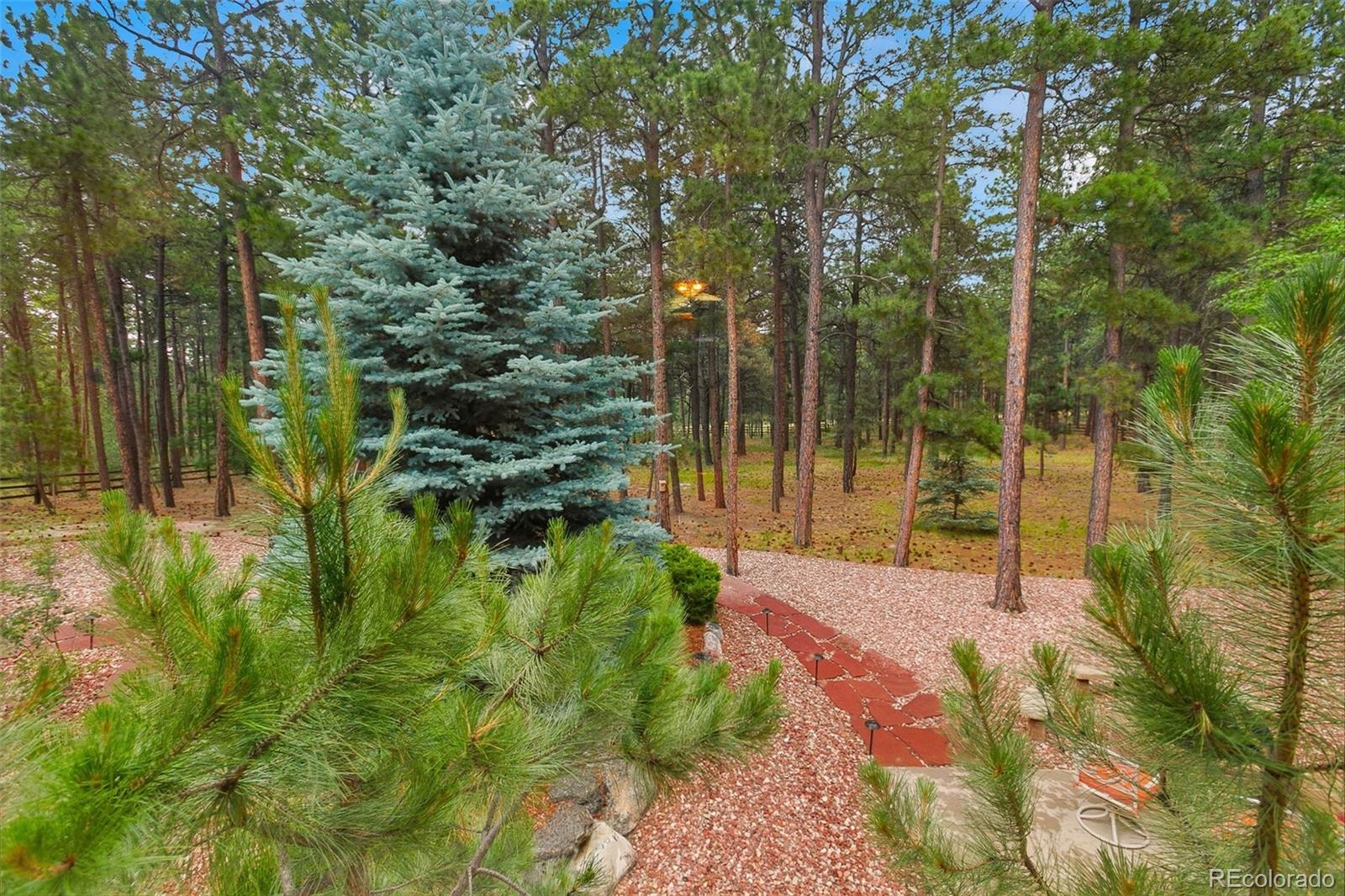 MLS Image #5 for 18015  bankhurst court,monument, Colorado