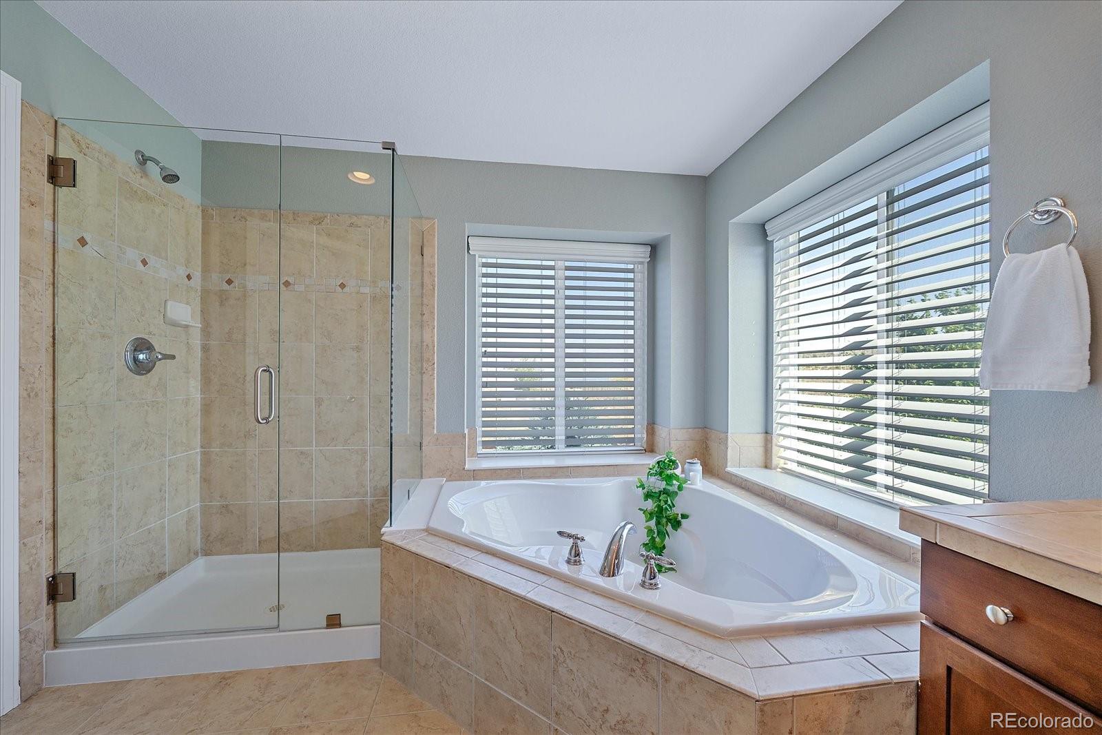 MLS Image #23 for 15971 e summit fox avenue,parker, Colorado