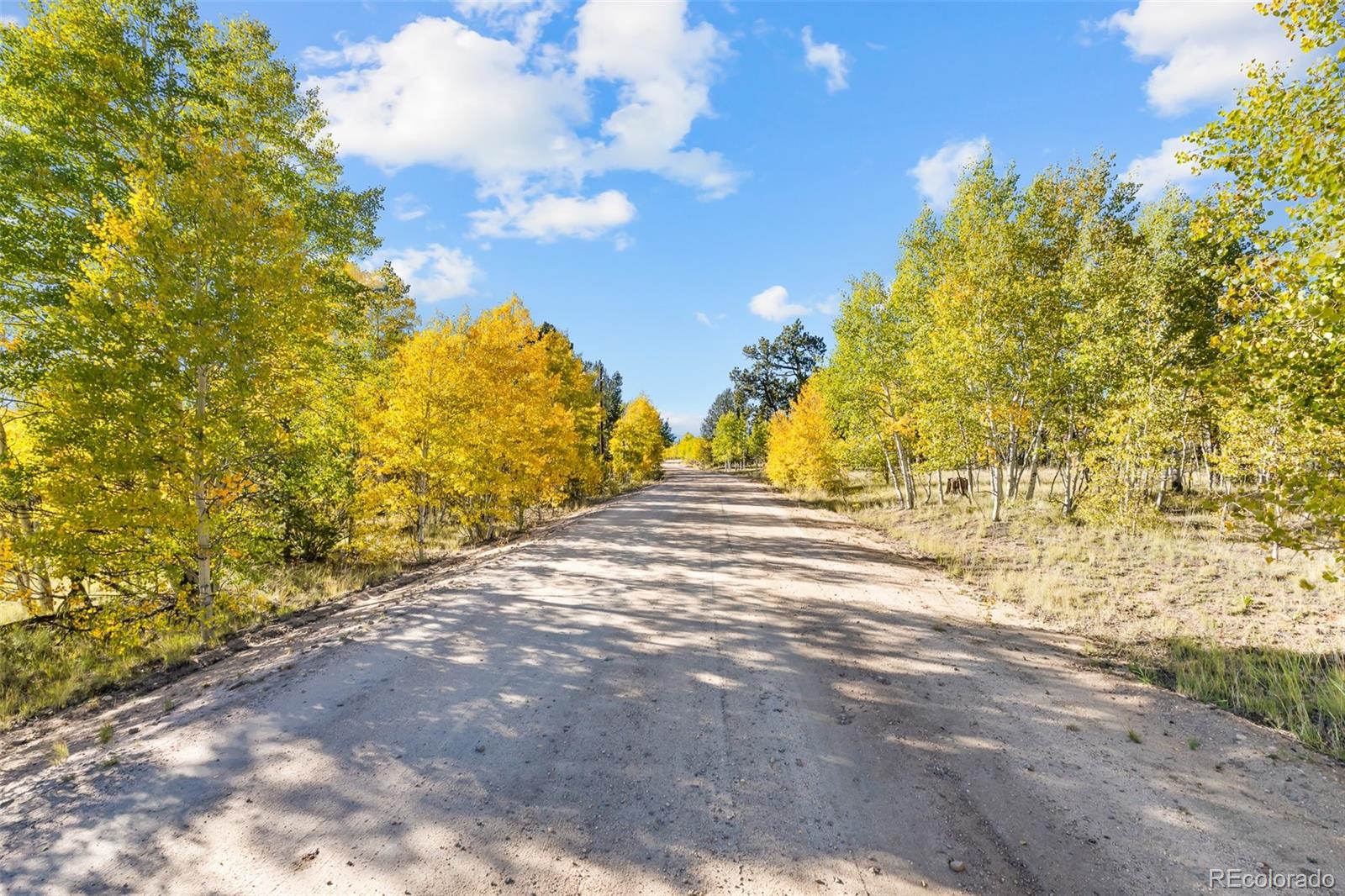 MLS Image #46 for 1404  buffalo ridge road,como, Colorado