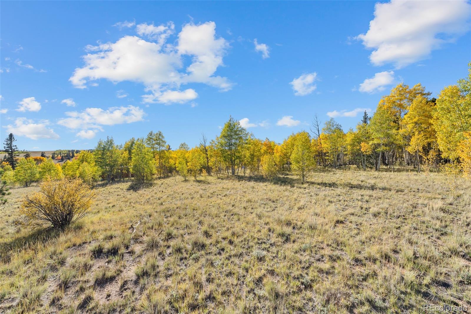 MLS Image #47 for 1404  buffalo ridge road,como, Colorado