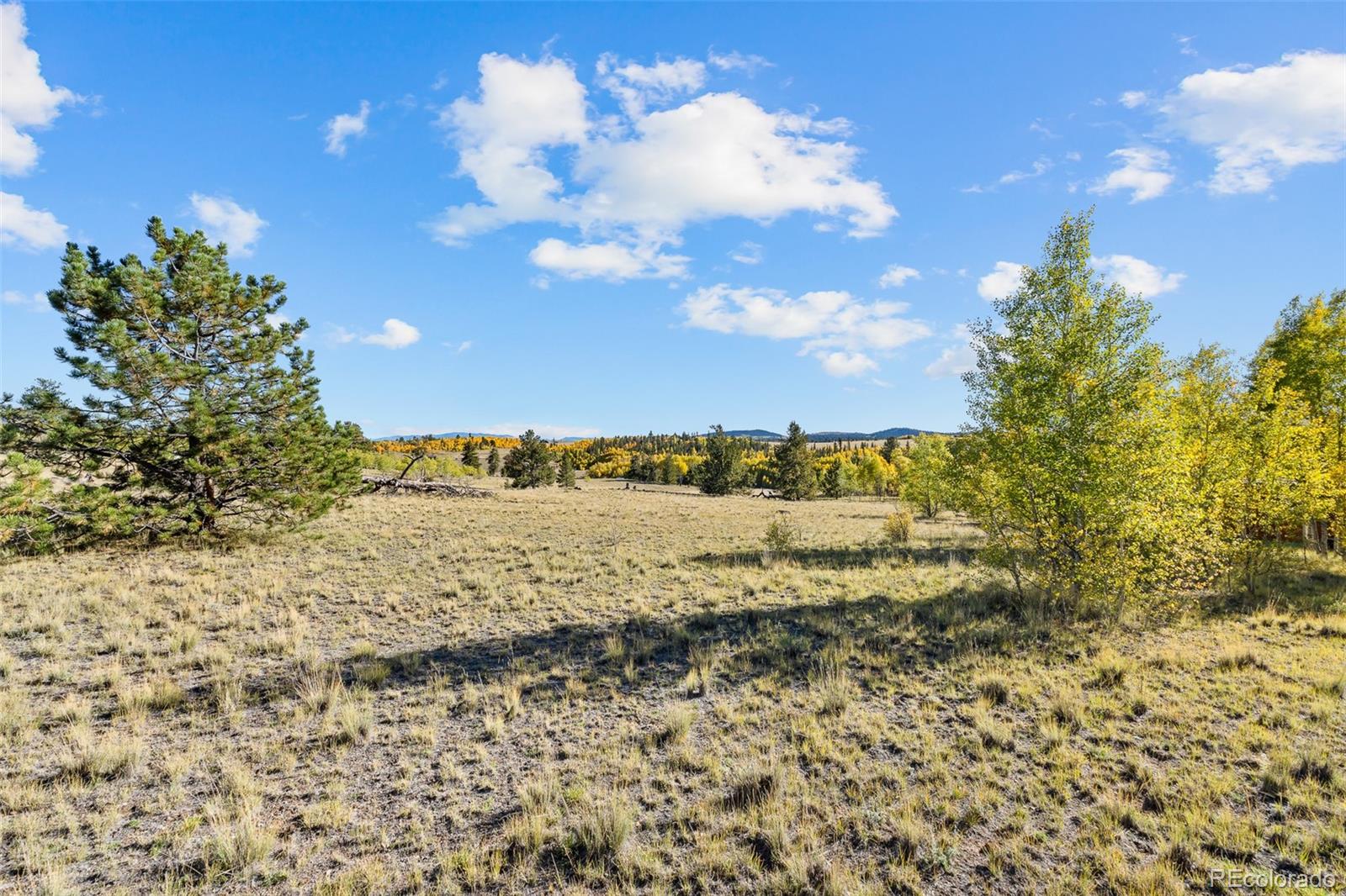 MLS Image #48 for 1404  buffalo ridge road,como, Colorado