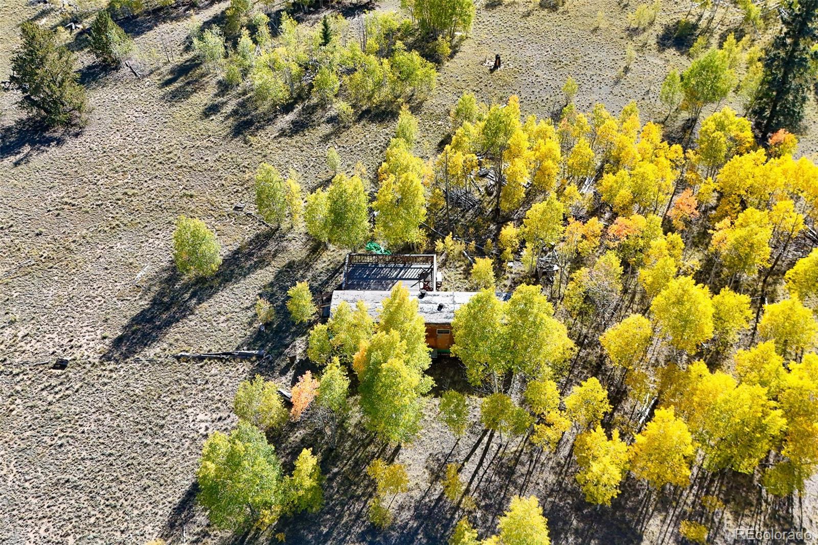 MLS Image #8 for 1404  buffalo ridge road,como, Colorado