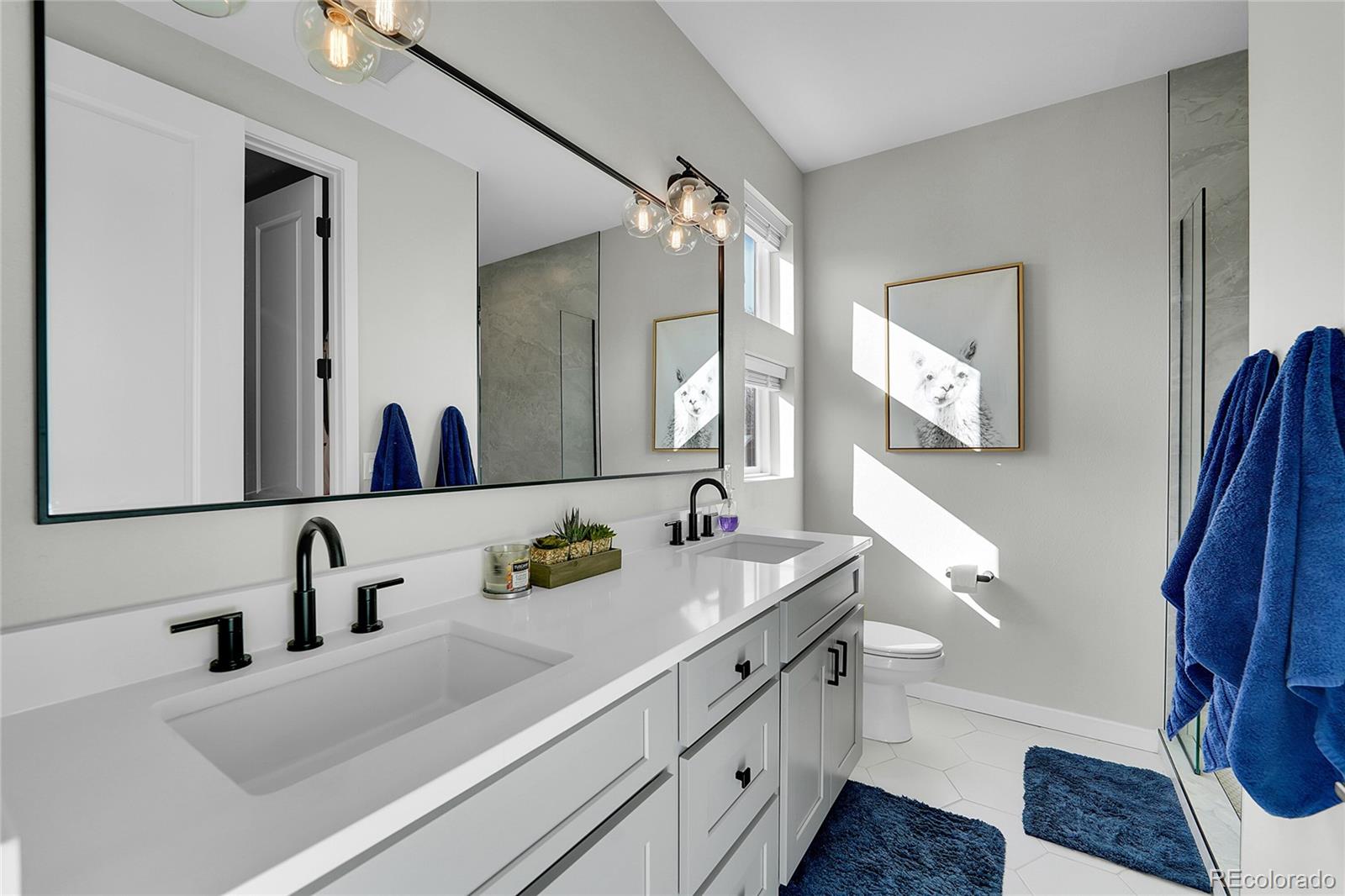 MLS Image #9 for 2025 w 42nd avenue,denver, Colorado