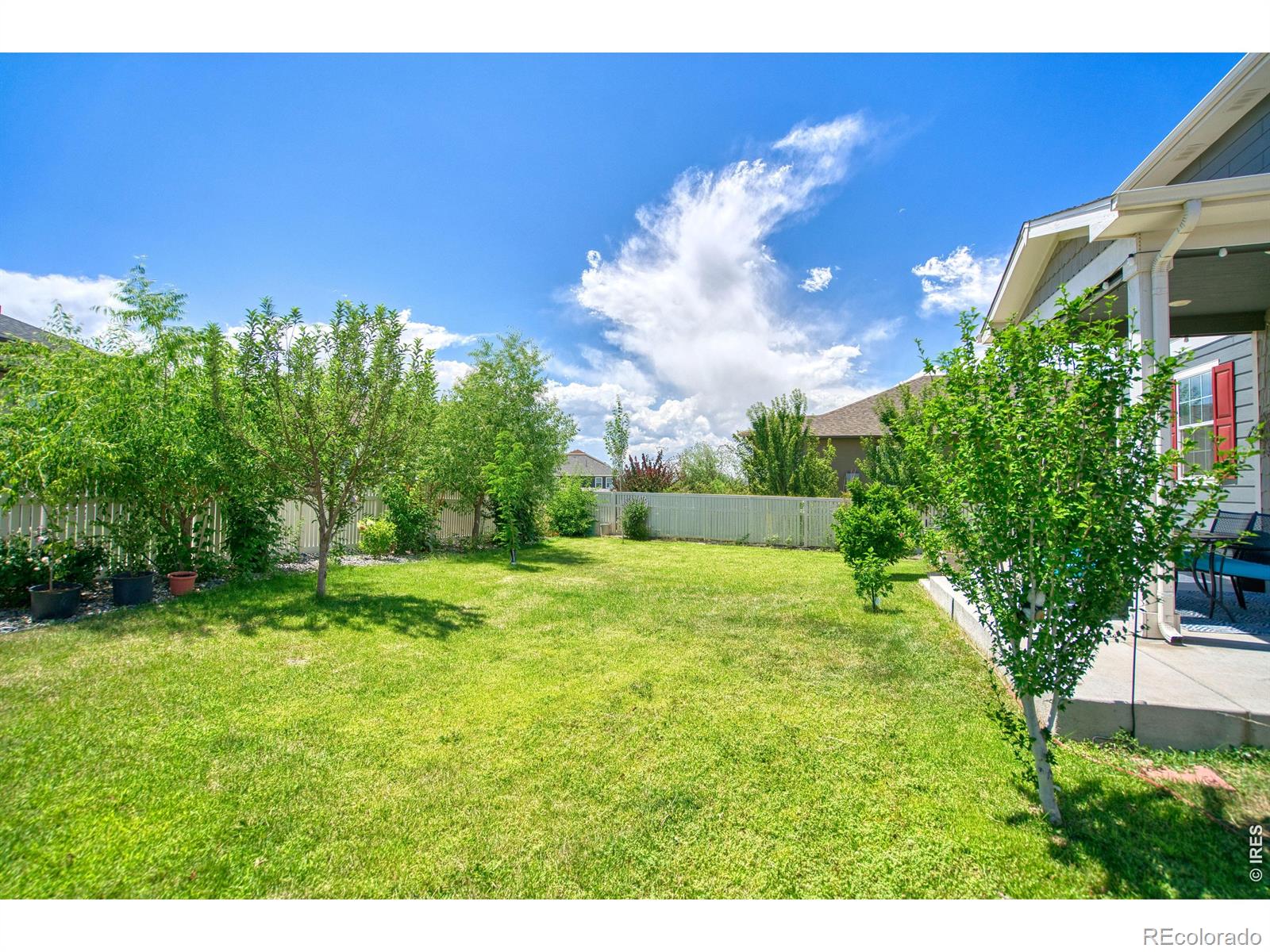 MLS Image #20 for 5340  stagecoach avenue,longmont, Colorado