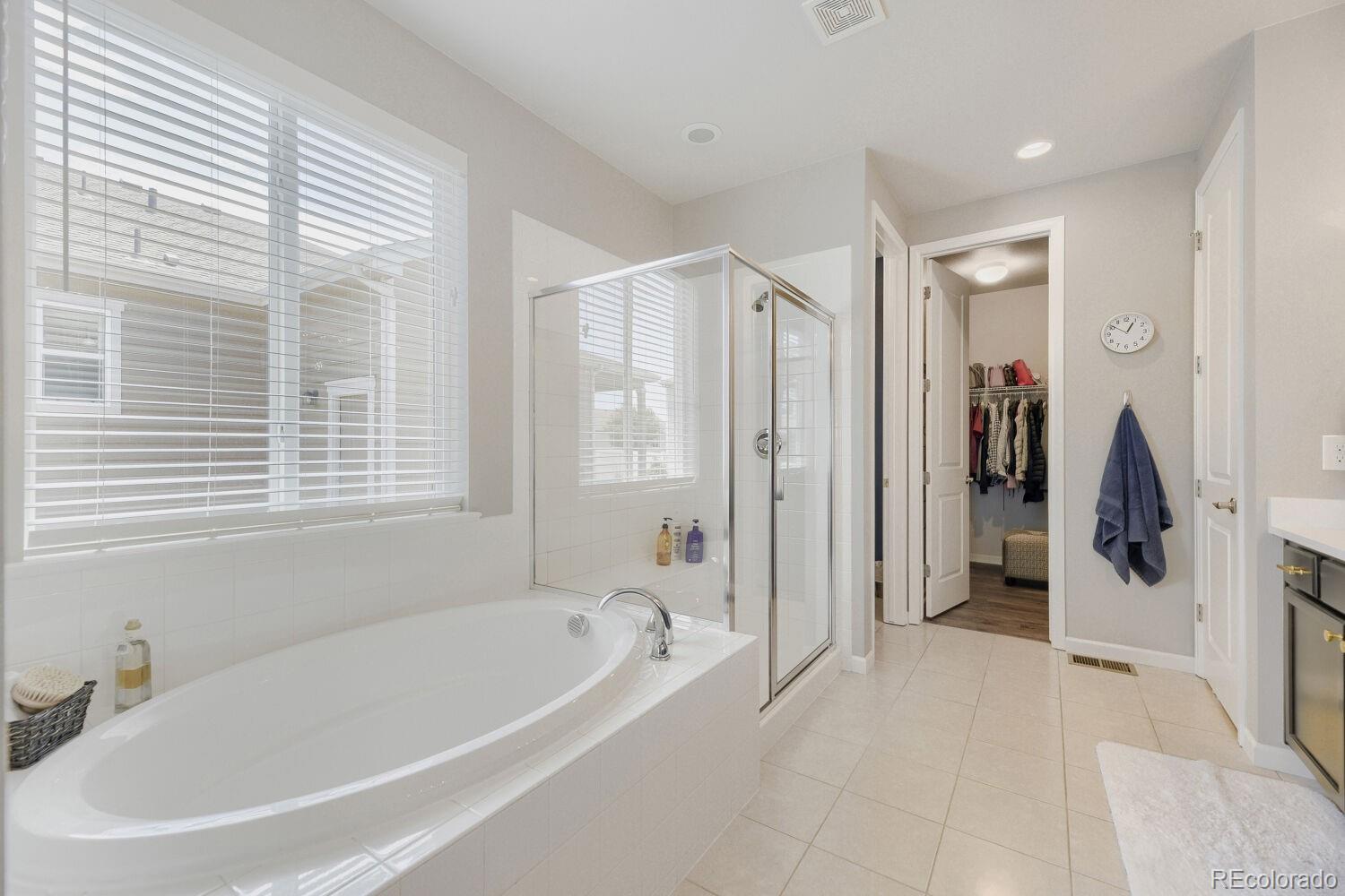 MLS Image #11 for 17717 e emilia drive,parker, Colorado