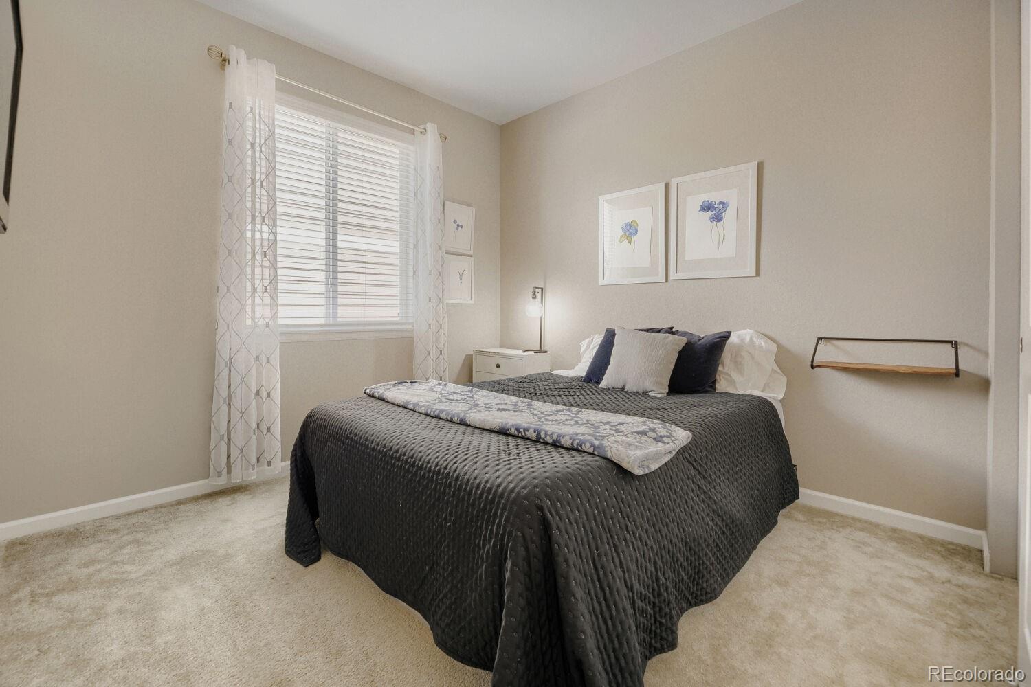 MLS Image #16 for 17717 e emilia drive,parker, Colorado