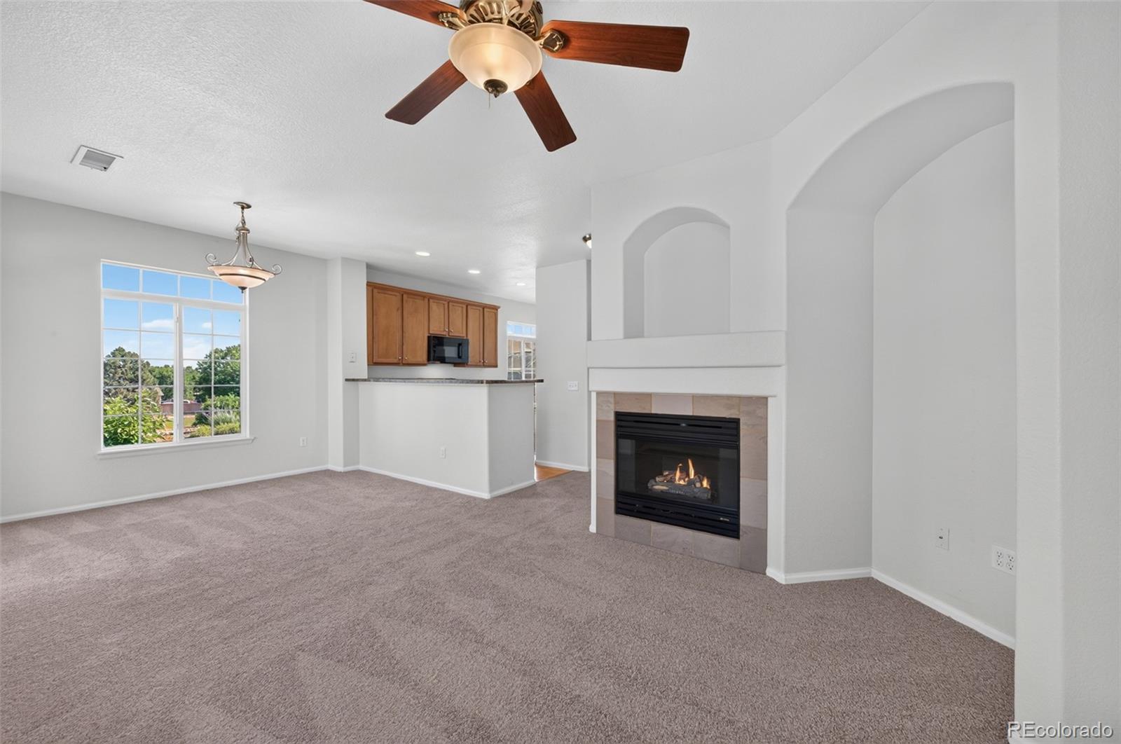 MLS Image #8 for 4323 s jebel lane,aurora, Colorado