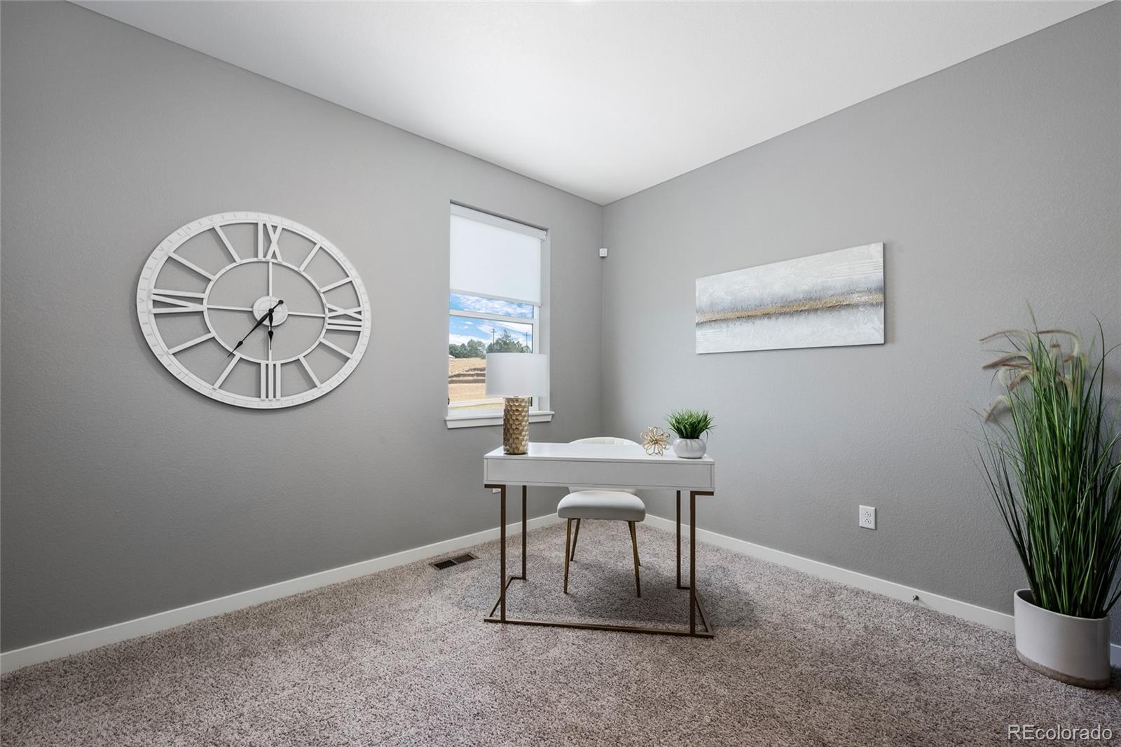 MLS Image #10 for 13914  scarlet sage lane,parker, Colorado