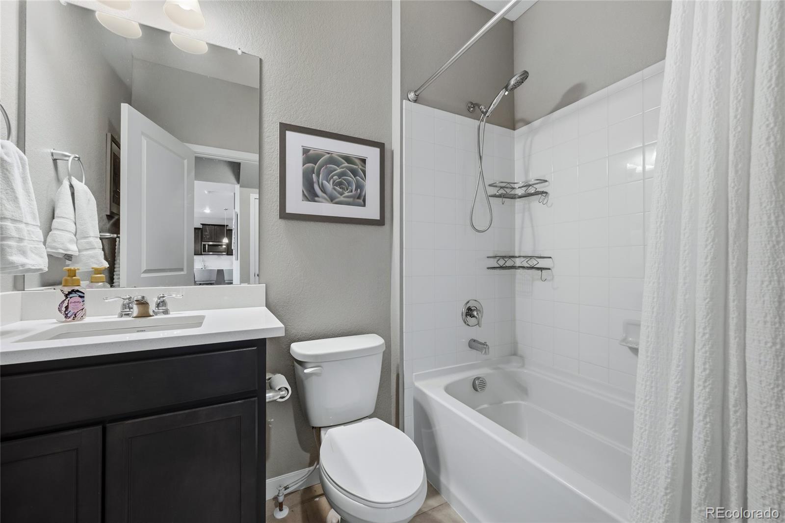 MLS Image #11 for 13914  scarlet sage lane,parker, Colorado