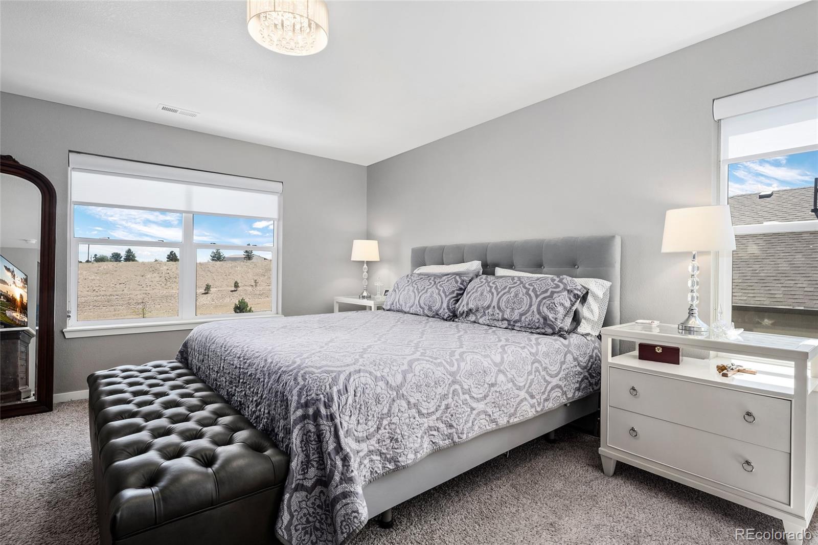MLS Image #14 for 13914  scarlet sage lane,parker, Colorado