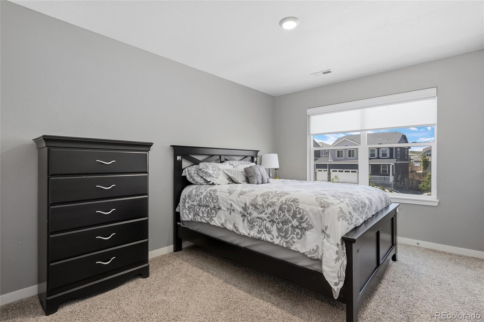 MLS Image #18 for 13914  scarlet sage lane,parker, Colorado