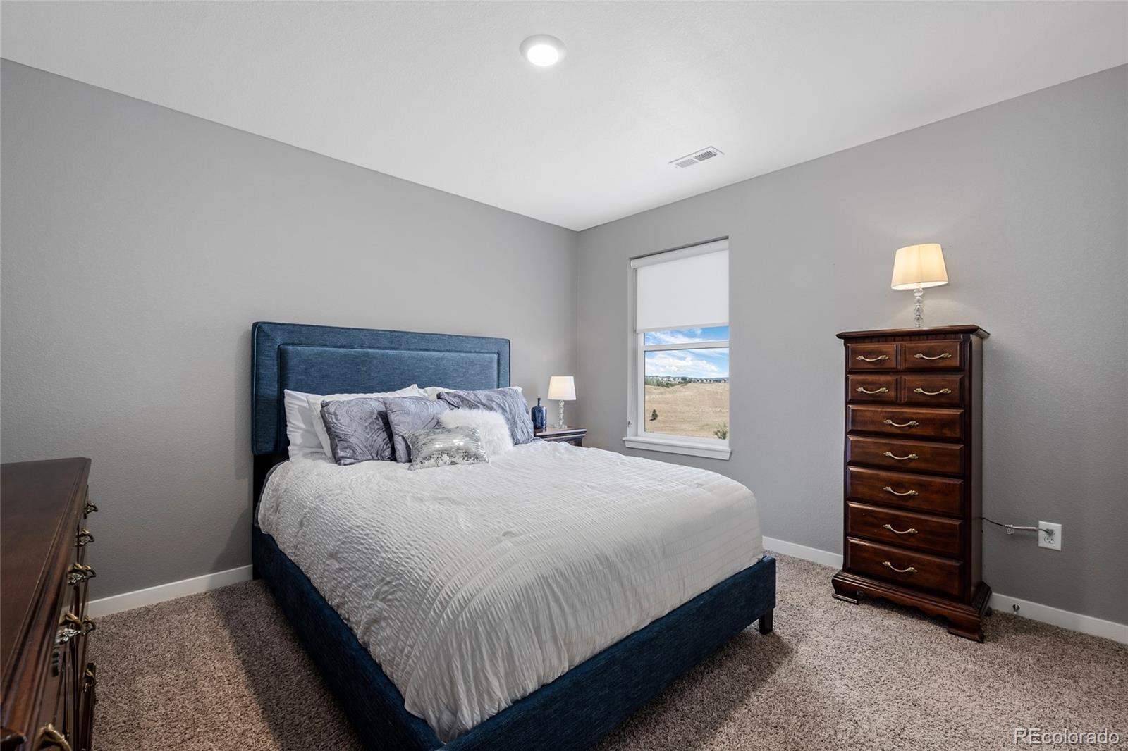 MLS Image #20 for 13914  scarlet sage lane,parker, Colorado