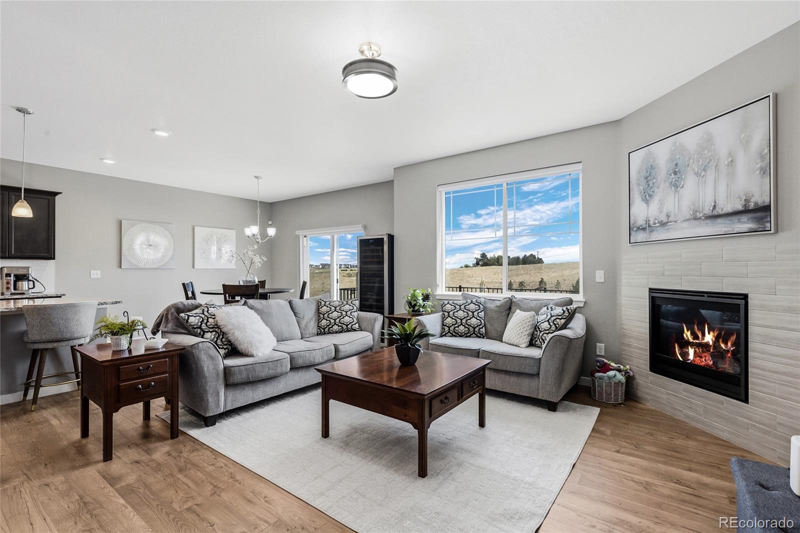 MLS Image #3 for 13914  scarlet sage lane,parker, Colorado
