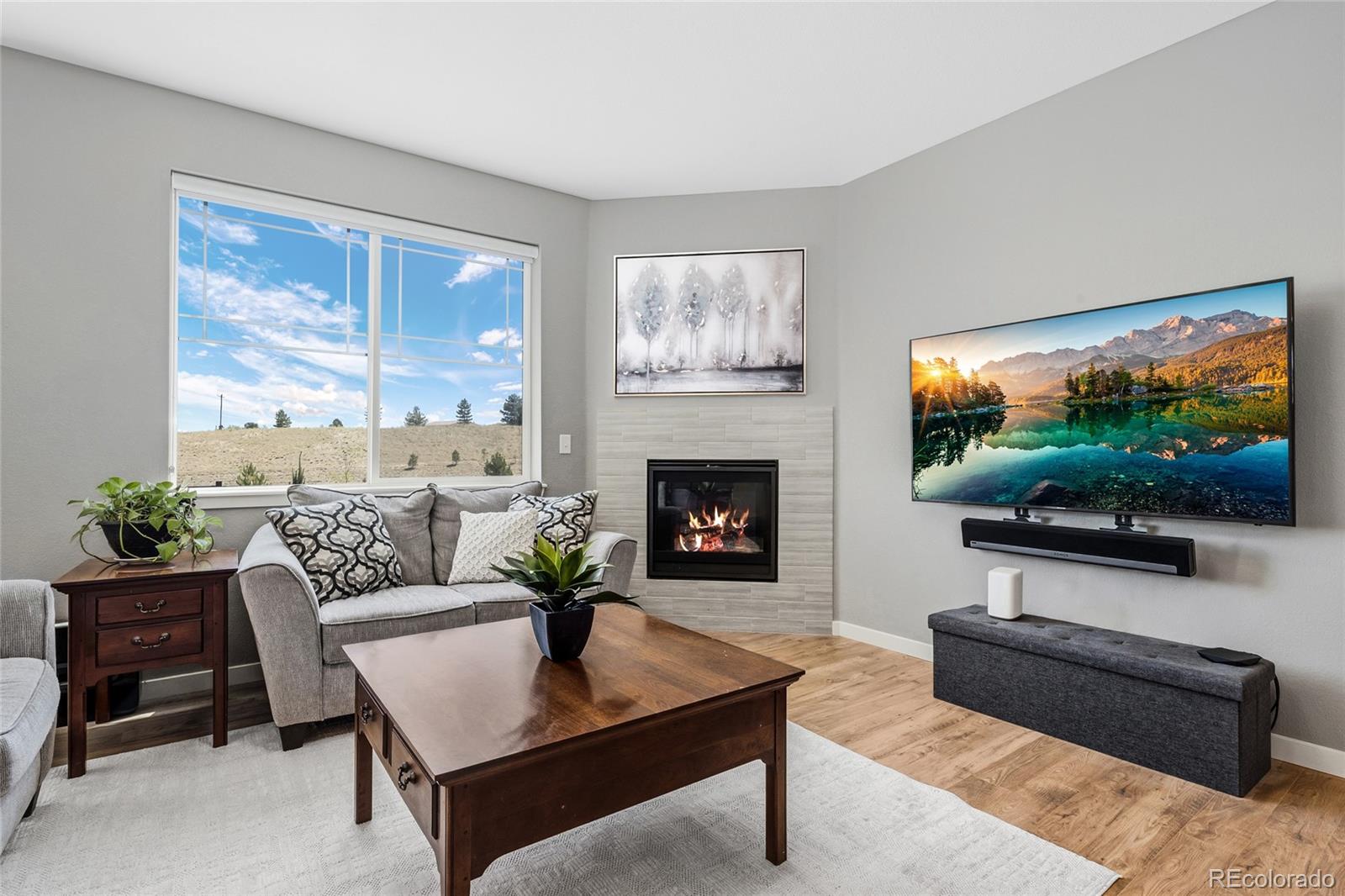 MLS Image #4 for 13914  scarlet sage lane,parker, Colorado