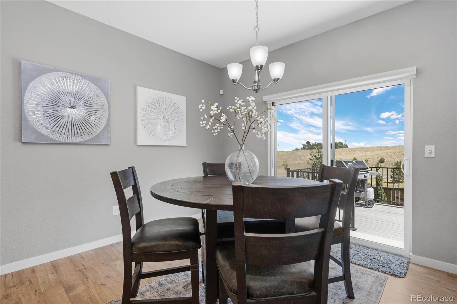 MLS Image #5 for 13914  scarlet sage lane,parker, Colorado